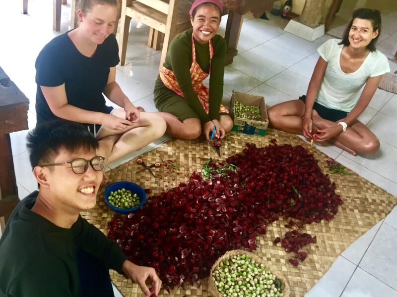 farming activities