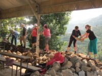 Construction & Renovation