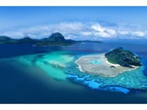 marine conservation programs