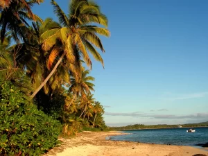 The_Point_Fiji