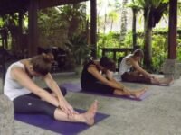 Yoga Week, Ubud