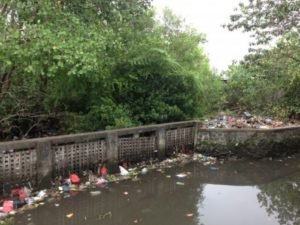 bali environmental education