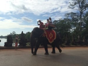 riding elephants in cambodia
