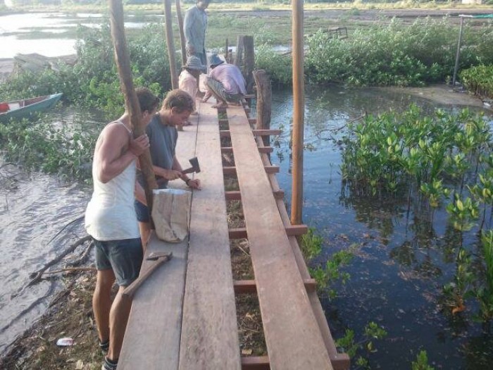 bridgewalk over mangroves with volunteering conservation