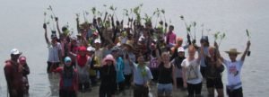 mangrove conservation volunteers after a long day!