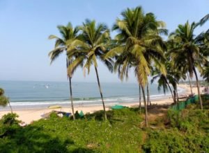 see the best of india while volunteering