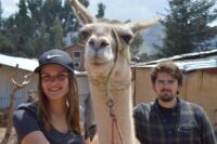 Volunteering at an Alpaca Farm in Cusco, Peru with IVI