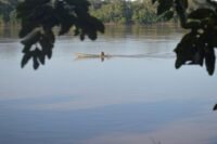 jungle conservation peru