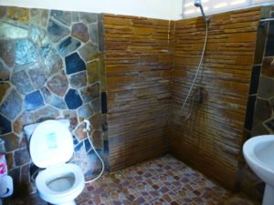 comfort room toilet and shower