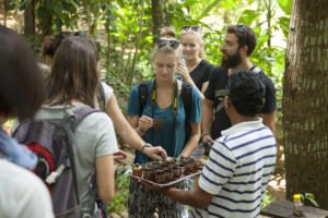 volunteer placements