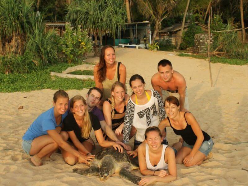 Srilanka turtle conservation (8)