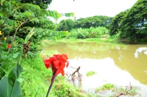 no crocs in there:0)