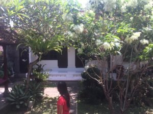 bali accommodation for volunteers