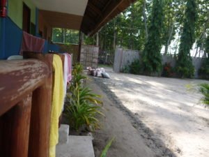 Healthcare placement