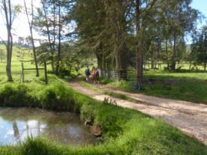 enjoy nature walks in peru
