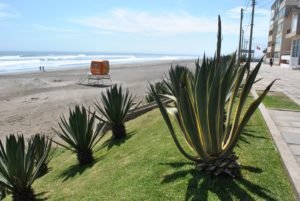pimental beach peru