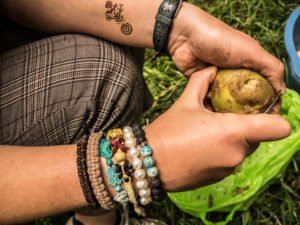 agriculture volunteering