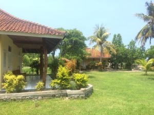 more grounds photos palawan