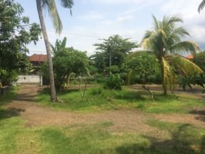 the grounds in palawan