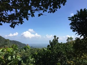 Philippines palawan accommodation only 5 min to the beach