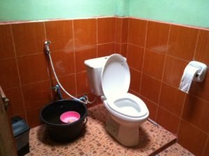 standard accommodation elephant conservation