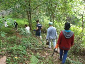 jungle walk conservation