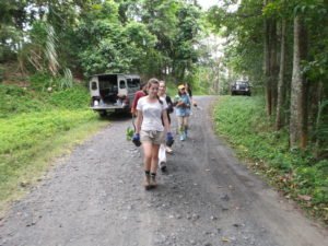 conservation projects in thailand ivi