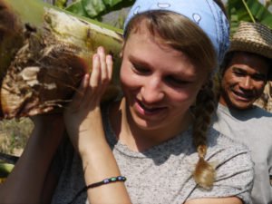 Elephant conservation projects Thailand www.volunteering.org.au