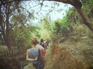enjoying nature walks with friends