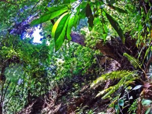 scenic shots in thailand