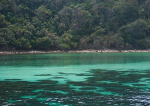 scenic shots in thailand