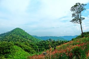 amazing scenic shots in thailand