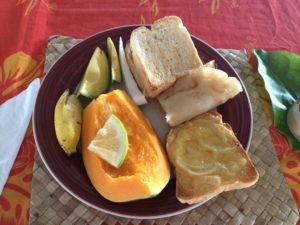 nutrition program in samoa for dieticians and nutritionists