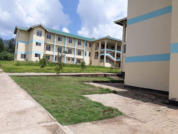 Tanzanian local hospital