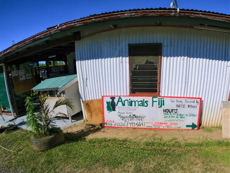 Fiji animal shelter