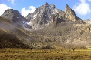 mount kenya