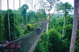 Kakum National Park