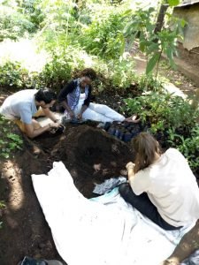 Planting trees in tree nursery