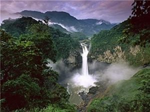 amazon jungle with waterfall