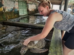 Ambalangoda turtle centre