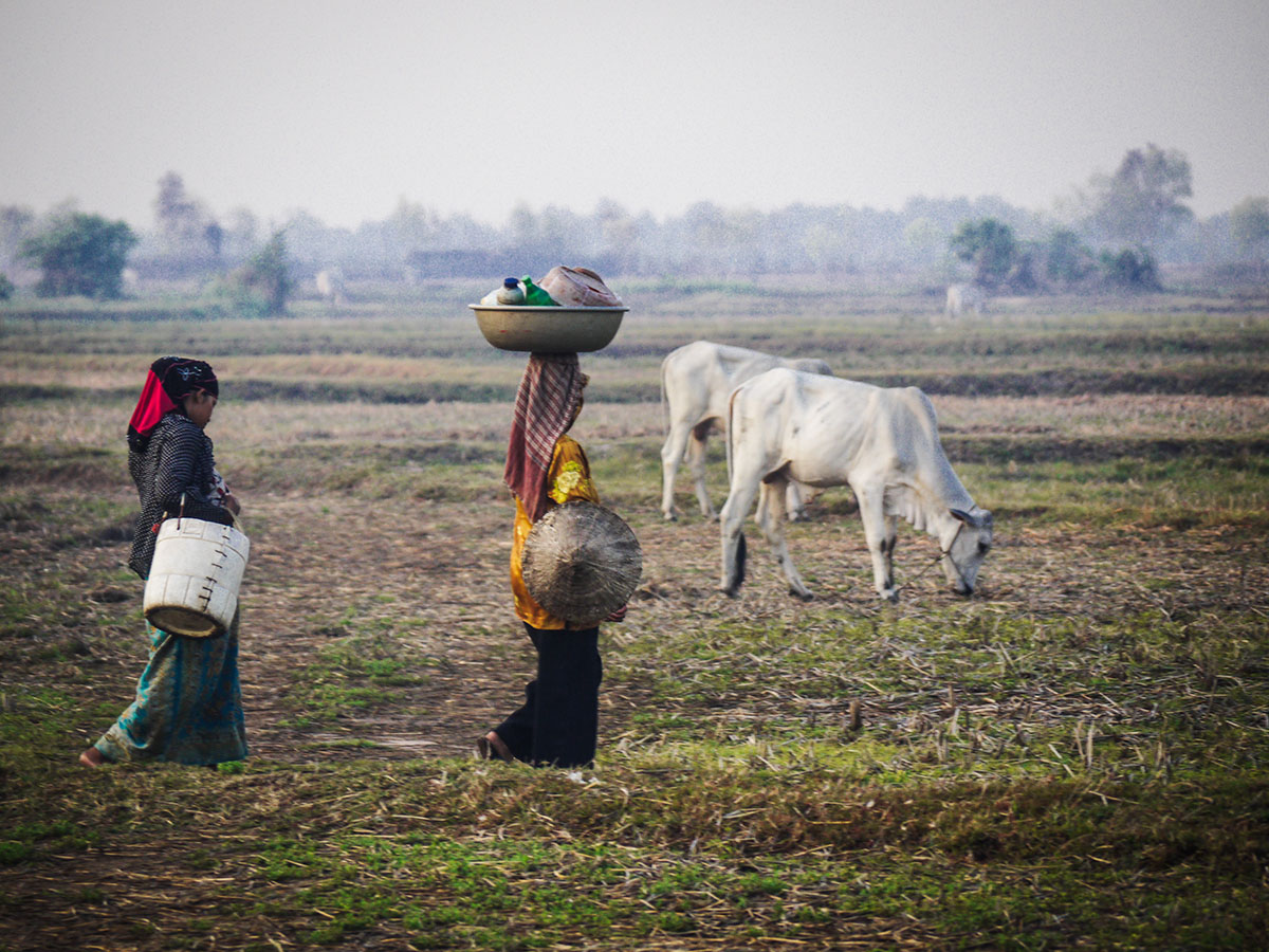 Cambodian women working on farmland