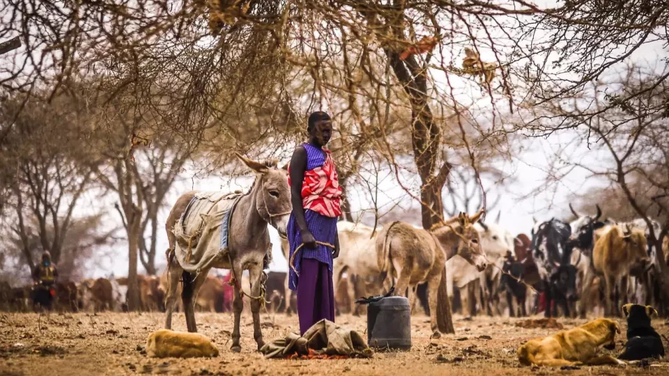 Maasai-woman-with-donkey