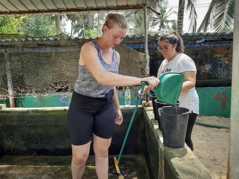 Sri Lanka Turtle project cleaning tanks