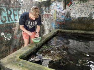 _Sri Lanka Turtle project_