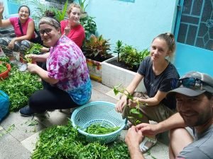 Washing Vegetable (1)