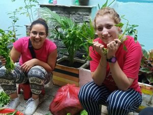 Washing Vegetable (1)