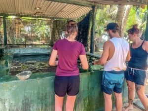 group at turtle centre in Amablangoda