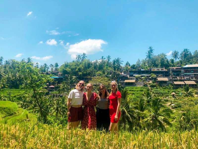 group in Bali rice fields