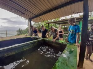 group of IVI volunteers at turtle tank