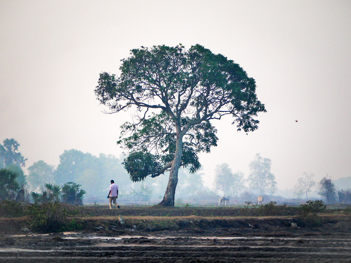 man by tree in rural Cambodia